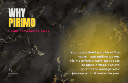 Pirimo, Why Pirimo, Seamless Access, Digital Accessibility, Professional Services